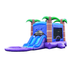 Palm Tree Combo- Wet or Dry